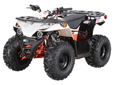 2026 Kayo Predator 110