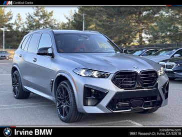 Frozen Pure Gray Metallic