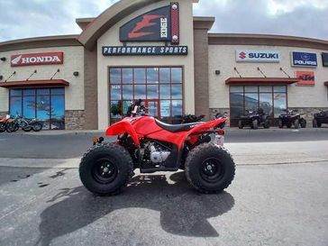 2025 Honda TRX 90X 