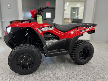 New 2026 Kawasaki Brute Force 300 