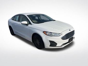 Oxford White
