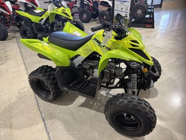 New 2026 Yamaha RAPTOR 110 