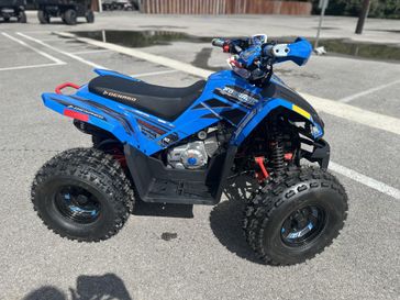 New 2026 Denago Powersports TRAILHAWK 10 FI 