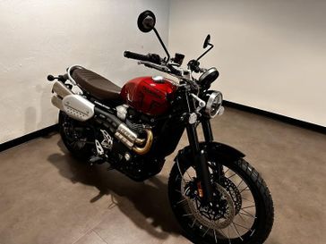 2025 Triumph Scrambler 1200 X 