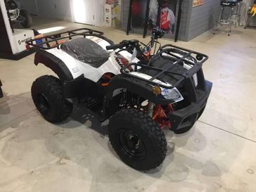 NEW 2026 KAYO BULL 150 EFI 
