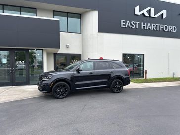 Ebony Black