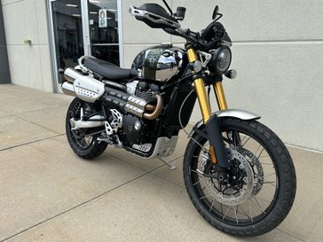 2023 Triumph SCRAMBLER 1200 XE in a CHROME / BROOKLANDS GREEN exterior color. Cross Country Powersports 732-491-2900 crosscountrypowersports.com 