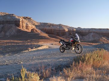 New 2025 Triumph TIGER 900 RALLY PRO 