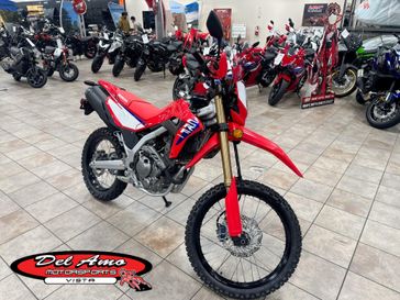 New 2025 Honda CRF300L 