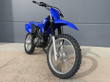 2025 Yamaha TT-R230 