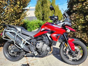 2020 Triumph TIGER 900 GT PRO