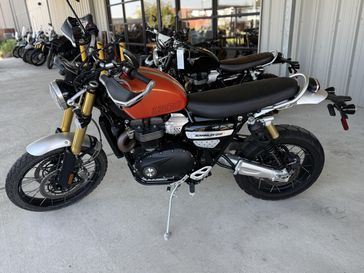 New 2025 Triumph Scrambler 1200 XE 