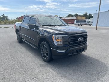 Used 2023 Ford F-150 XLT
