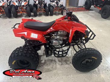 New 2027 Kayo STORM 300 