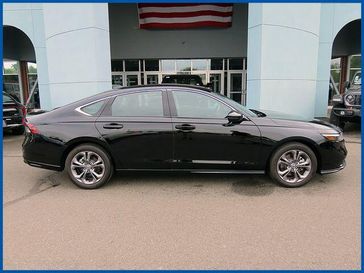Used 2025 Honda Accord Hybrid EX-L