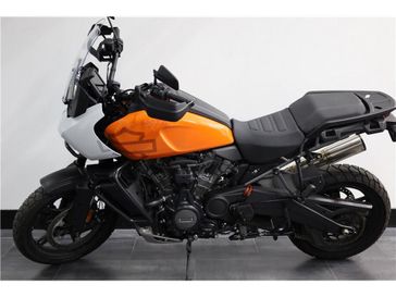 2021 Harley-Davidson Pan America in a Orange White exterior color. New England Powersports 978 338-8990 pixelmotiondemo.com 