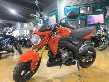2025 Kawasaki Z125 PRO 