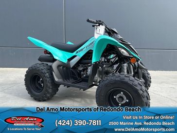 2025 Yamaha RAPTOR 110