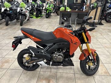 New 2025 Kawasaki Z125 PRO 