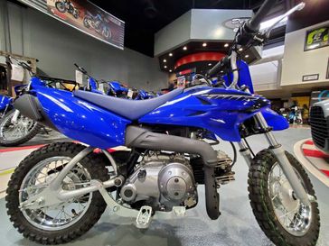 2023 Yamaha TTR50EPC  in a TEAM YAMAHA BLUE exterior color. Del Amo Motorsports delamomotorsports.com 