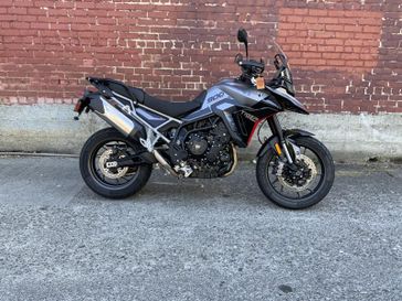 2025 Triumph TIGER 900 GT PRO