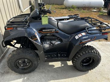 2025 Kawasaki Brute Force