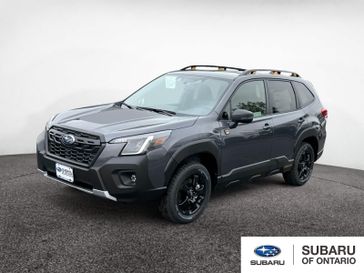 2025 Subaru Forester Wilderness