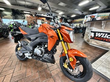 2025 Kawasaki Z125 PRO 