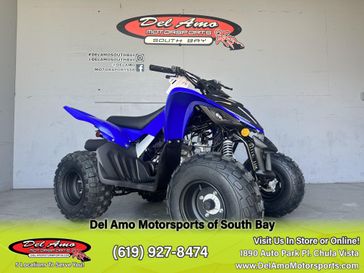 2025 Yamaha RAPTOR 110