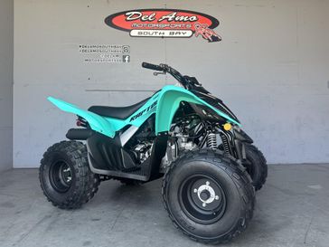 2025 Yamaha RAPTOR 110 