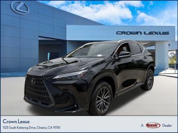 2025 Lexus NX 250