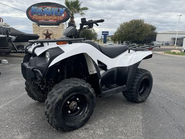 2021 KAWASAKI BRUTE FORCE 300