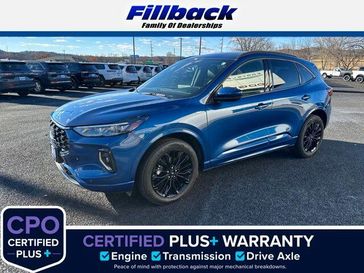2023 Ford Escape ST-Line Elite's photo