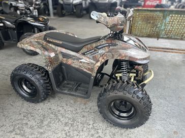 New 2026  Denago Powersports E HAWK 6 