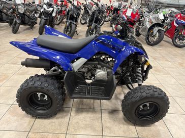 New 2025 Yamaha RAPTOR 110 
