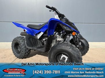 2025 Yamaha RAPTOR 110 