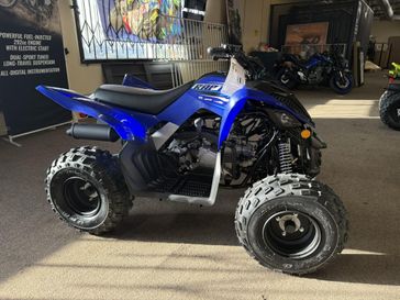 New 2026 Yamaha RAPTOR 110 
