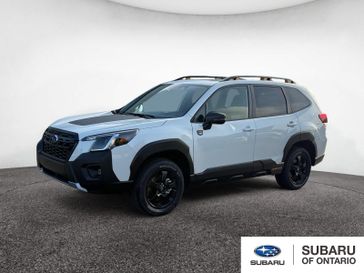 2025 Subaru Forester Wilderness