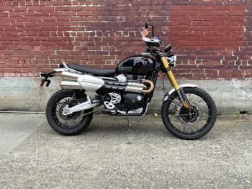 2025 Triumph SCRAMBLER 1200 XE