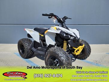 2024 Can-Am RENEGADE 110 EFI