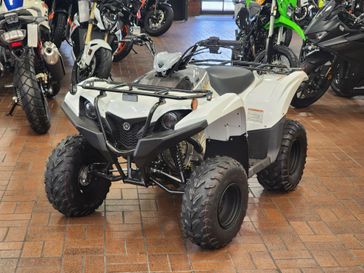 2024 Yamaha GRIZZLY 90