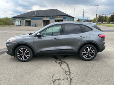 Used 2022 Ford ESCAPE SE Awd