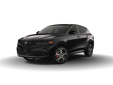 Alfa Black