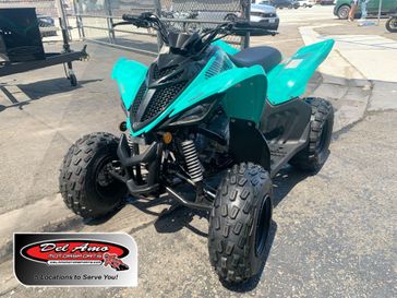 NEW 2025 Yamaha RAPTOR 110  TEAL