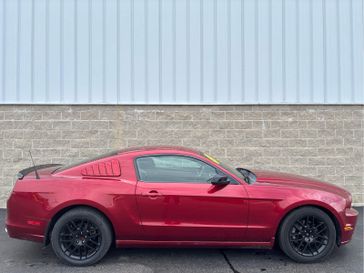 2014 Ford Mustang V6