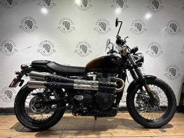 2024 Triumph SCRAMBLER 900  in a PHANTOM ORANGE exterior color. BMW Motorcycles of New Orleans 504-595-6776 pixelmotiondemo.com 