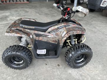 New 2026  Denago Powersports E HAWK 6 