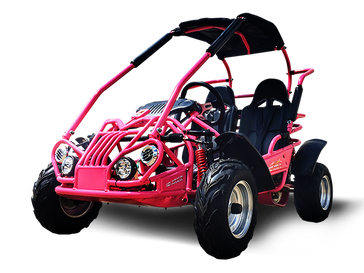 New 2025 TrailMaster MID XRX/R 