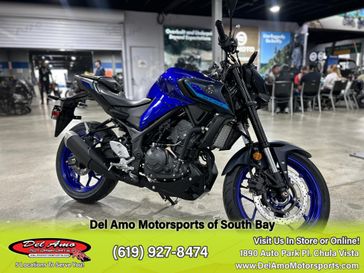 2025 Yamaha MT-03 