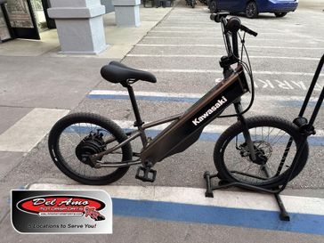 New 2025 Kawasaki ELEKTRODE  20FS 